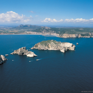 Vista panoràmica del Parc Natural Masis del Montgrí, Illes Medes i el Baix Ter